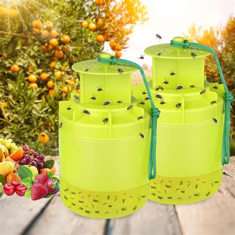 amazon fly trap outdoor